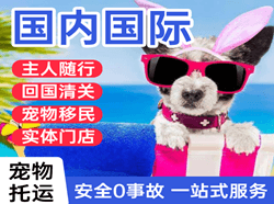 桃仙机场空运国际宠物托运 【国